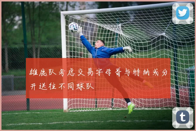 雄鹿队考虑交易字母哥与特纳或分开送往不同球队